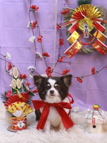 20230127アンジくん